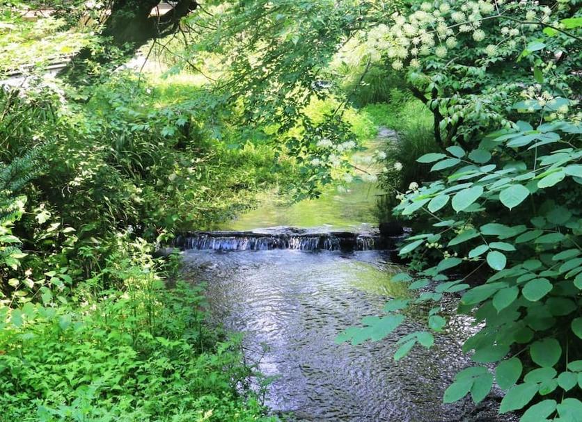 Buiten zicht Foto's