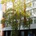 Gebouw