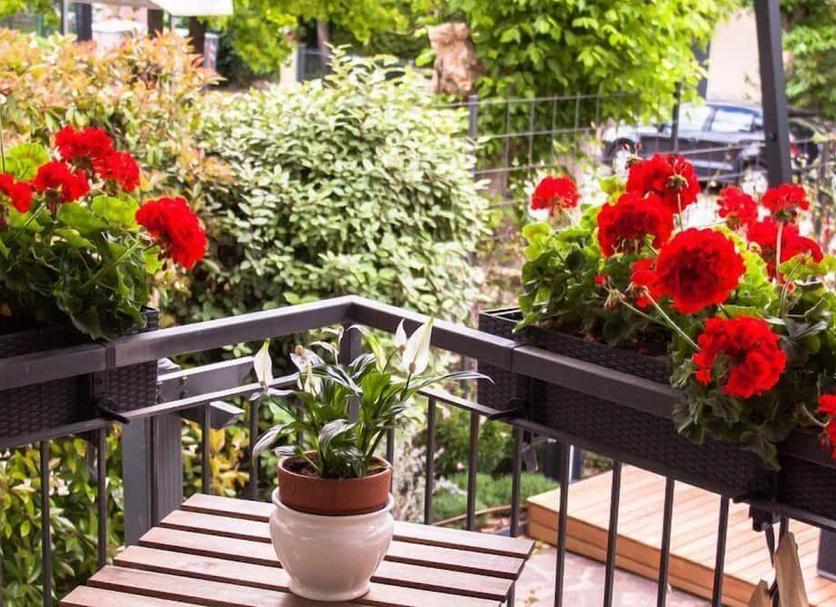 Balkon Foto's