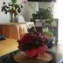 Andere