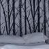 Andere