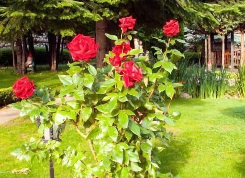 Buiten zicht Foto's