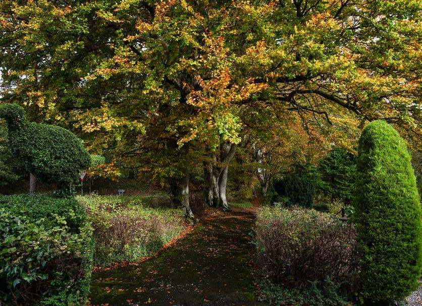 Buiten zicht Foto's