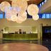 Receptie