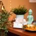 Receptie