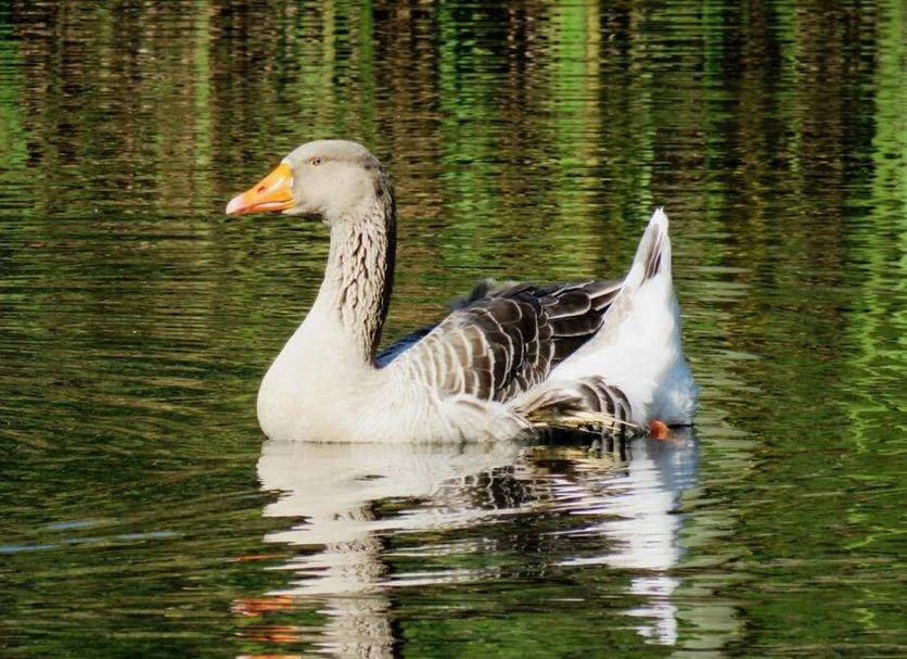 Andere Foto's