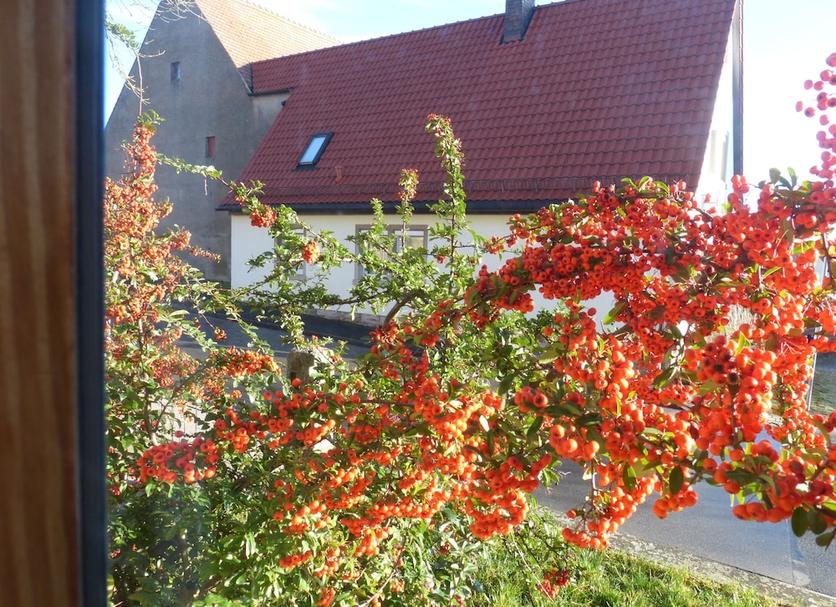 Buiten zicht Foto's