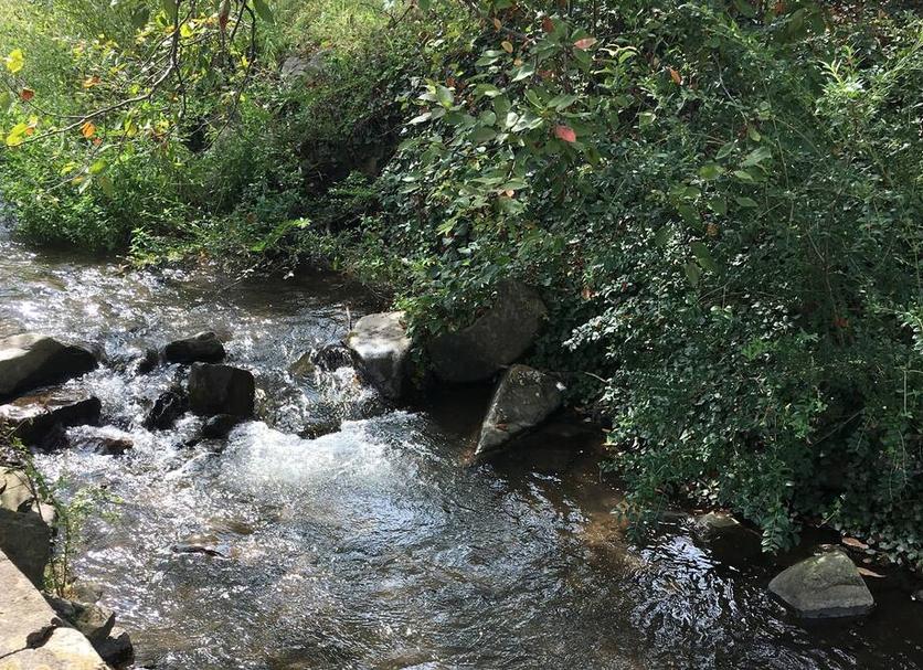 Buiten zicht Foto's