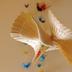 Andere