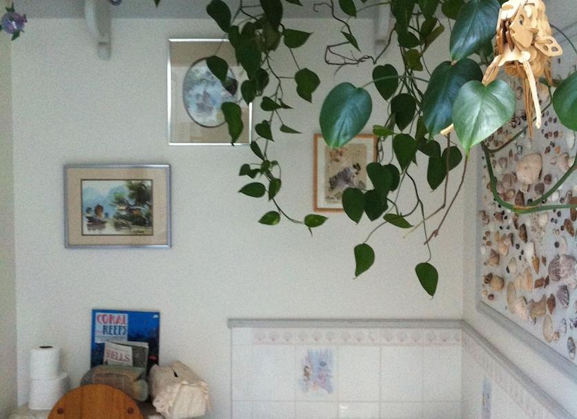 Badkamer Foto's