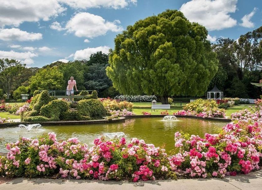 Buiten zicht Foto's