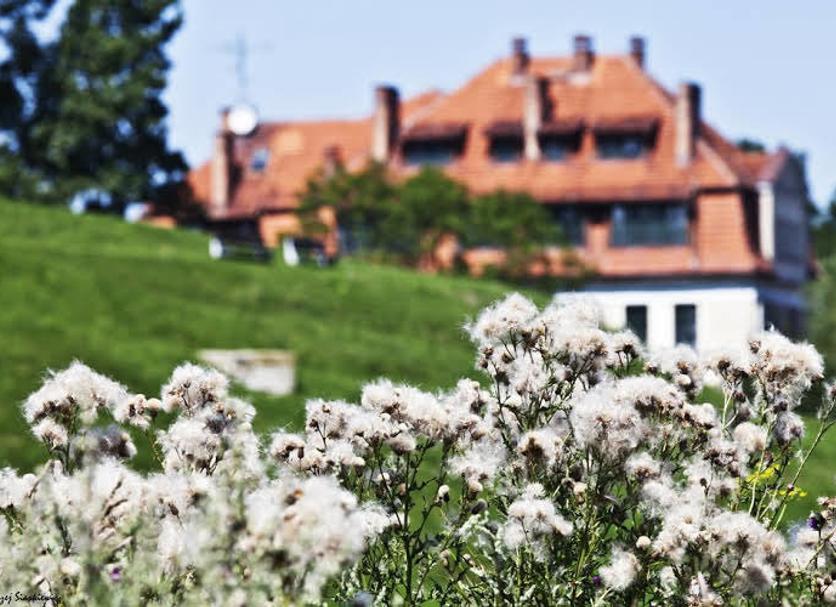Buiten zicht Foto's
