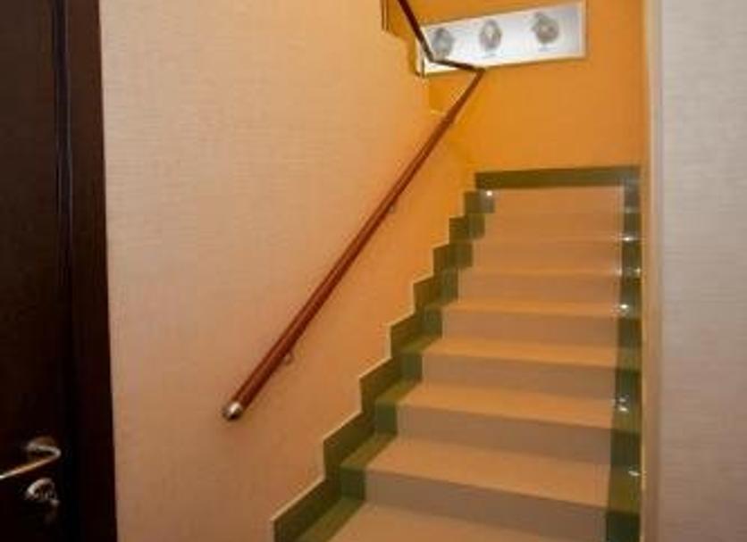Trappen Foto's