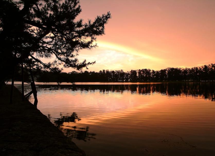 Buiten zicht Foto's