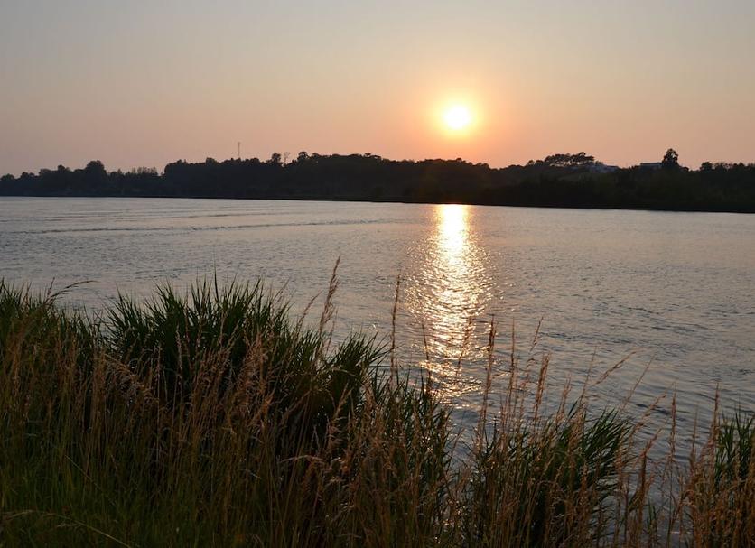 Buiten zicht Foto's
