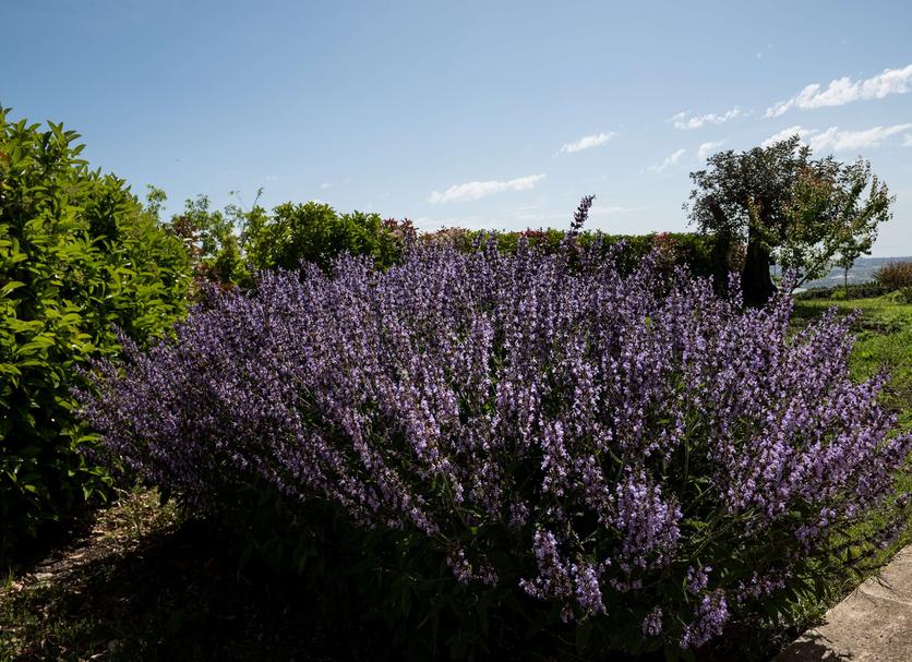 Buiten zicht Foto's