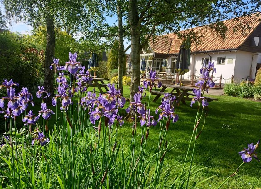 Buiten zicht Foto's