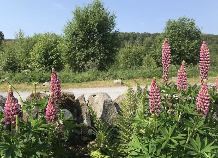 Buiten zicht Foto's