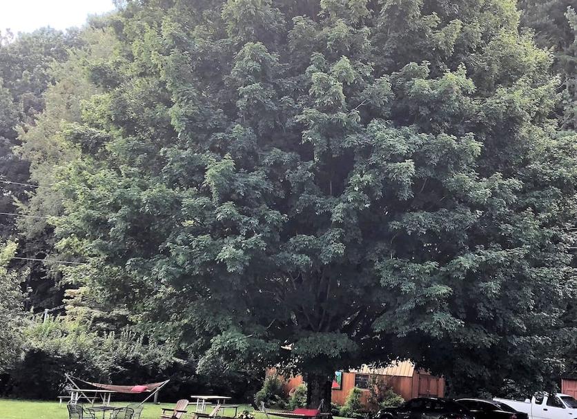 Buiten zicht Foto's