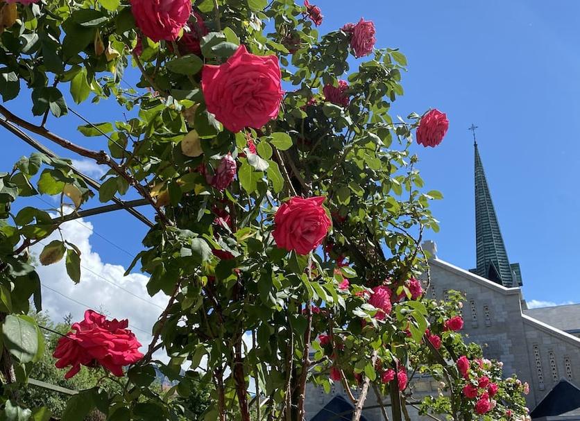 Buiten zicht Foto's