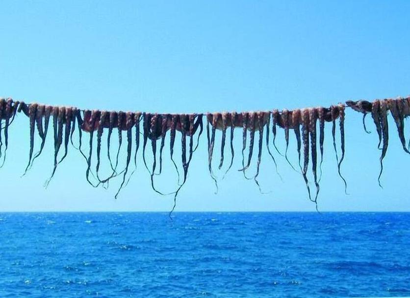 Strand Foto's