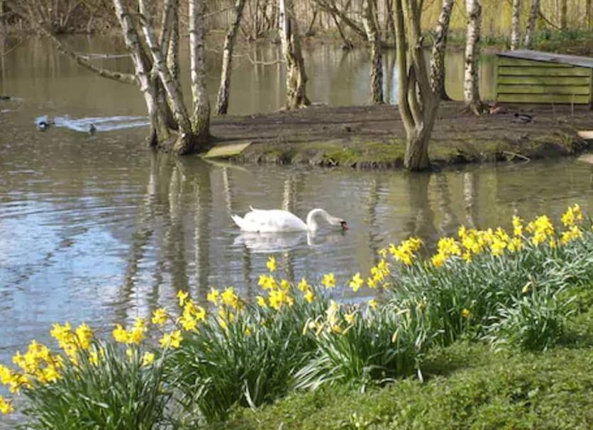 Buiten zicht Foto's