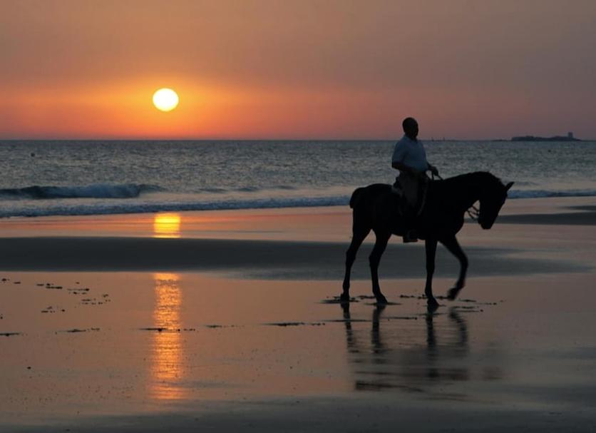 Strand Foto's