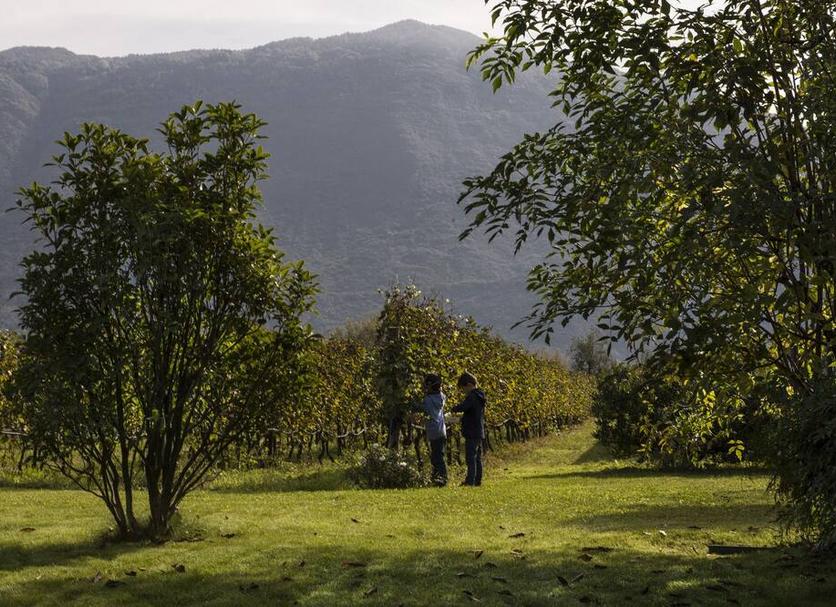 Buiten zicht Foto's