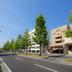 Andere