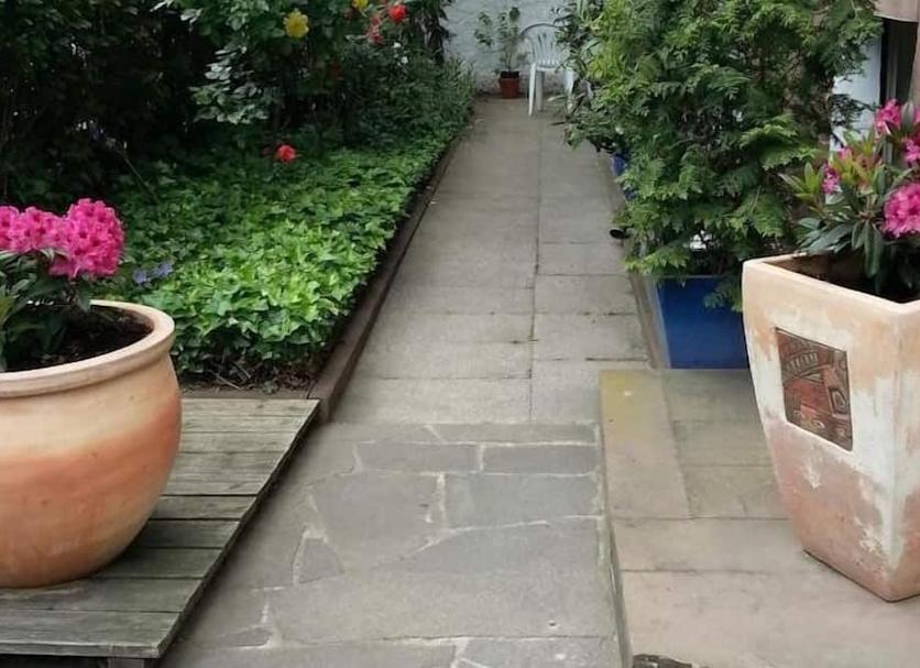 Buiten zicht Foto's