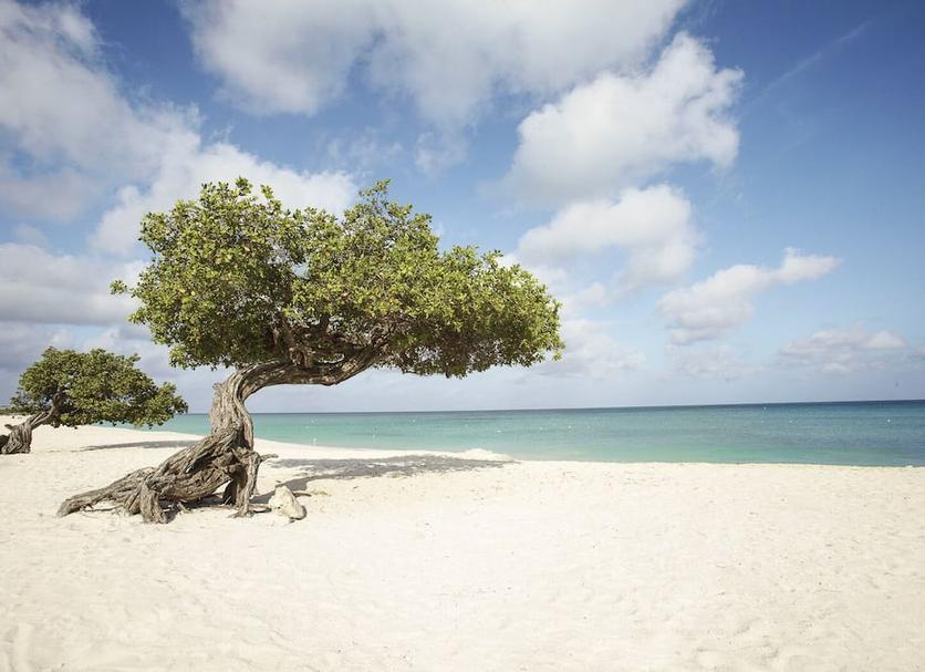 Strand Foto's