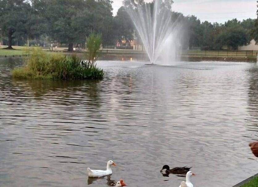 Buiten zicht Foto's