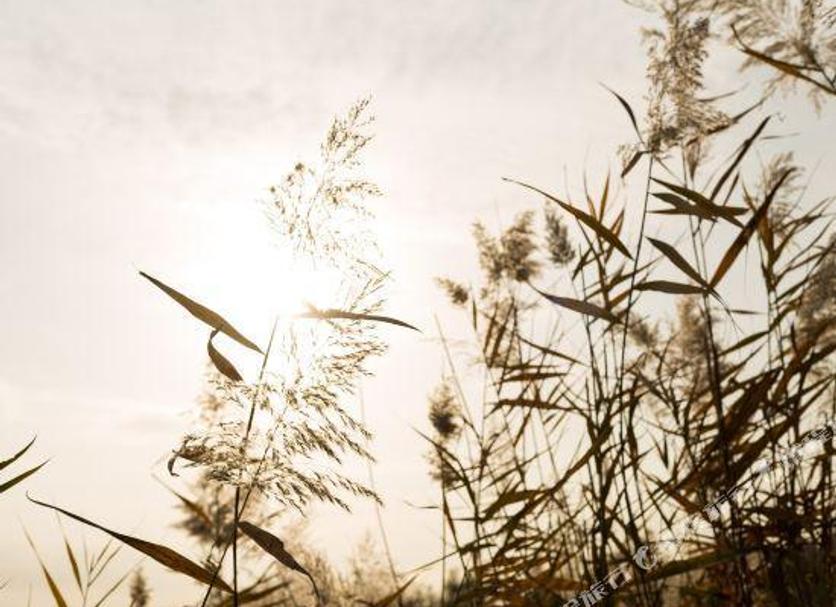 Buiten zicht Foto's