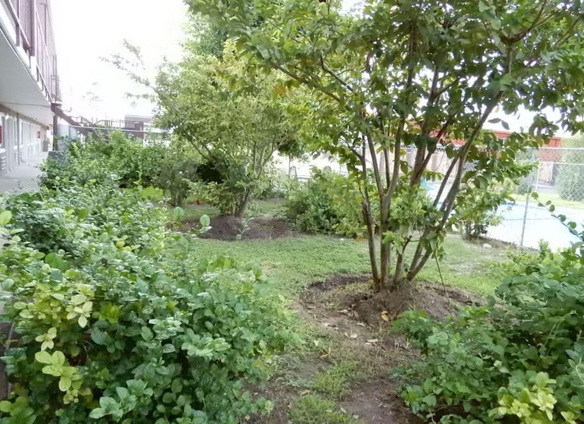 Buiten zicht Foto's