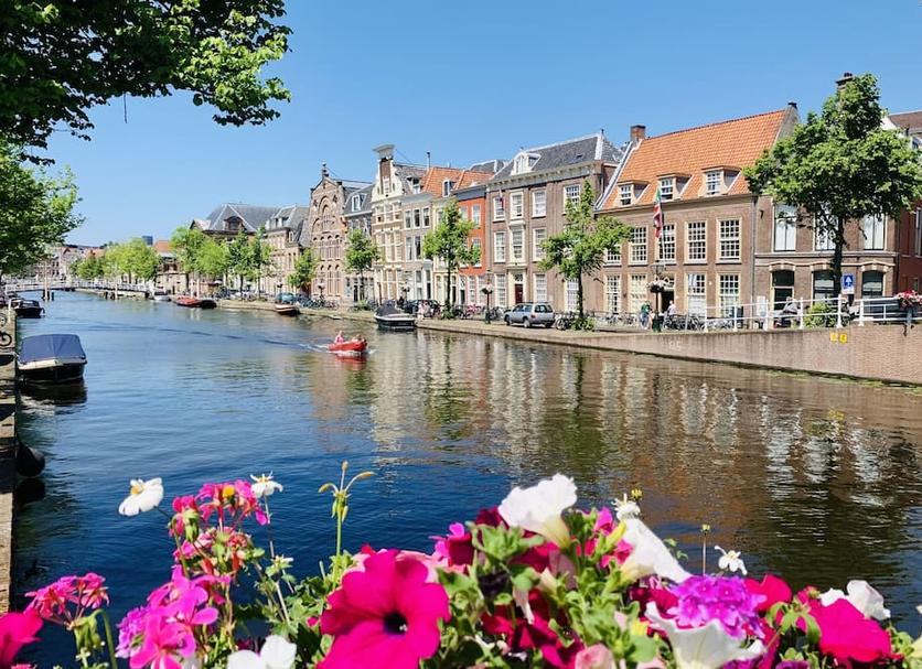 Buiten zicht Foto's