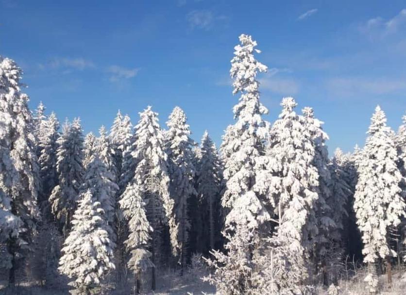 Buiten zicht Foto's