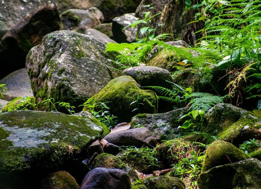 Buiten zicht Foto's