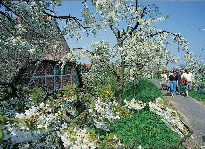 Andere Foto's