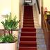 Trappen