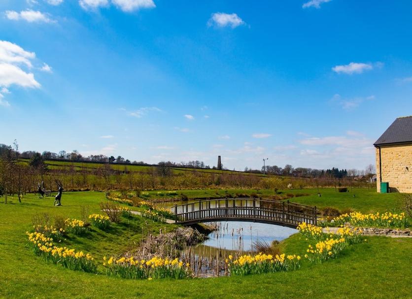 Buiten zicht Foto's