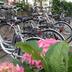 Andere