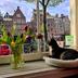 Andere