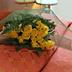 Andere