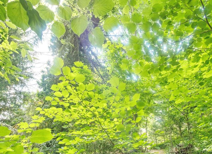 Buiten zicht Foto's