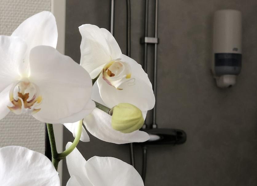 Badkamer Foto's