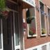 Buiten zicht