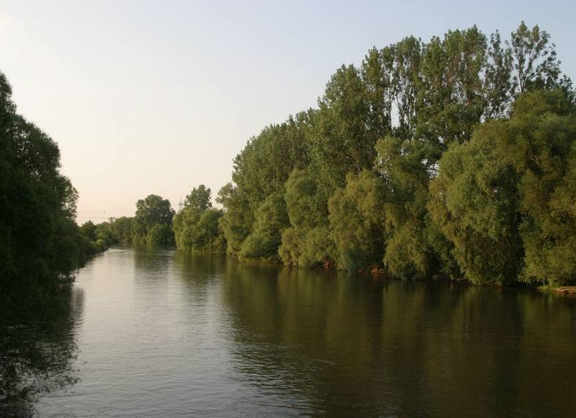Buiten zicht Foto's