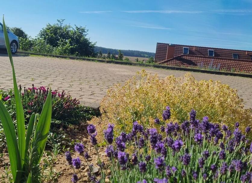 Buiten zicht Foto's