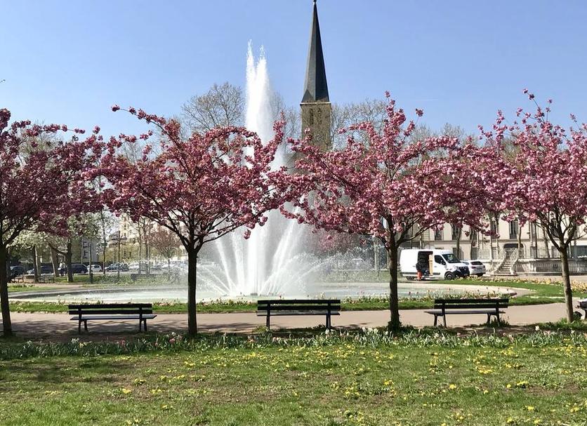 Buiten zicht Foto's