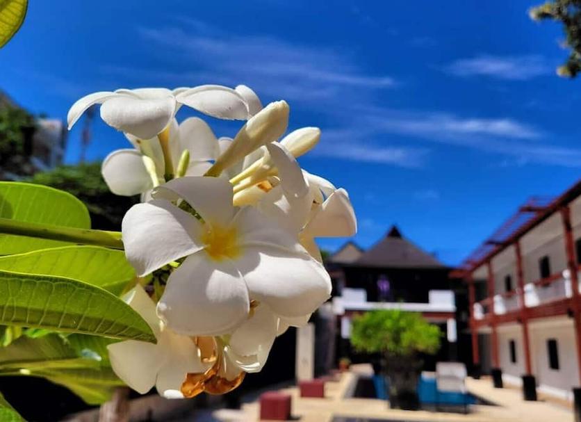 Buiten zicht Foto's
